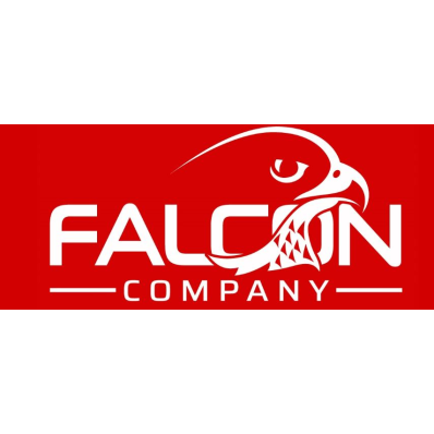 Falcon Company - Noleggio Auto Moto Furgoni a Lungo Termine Logo