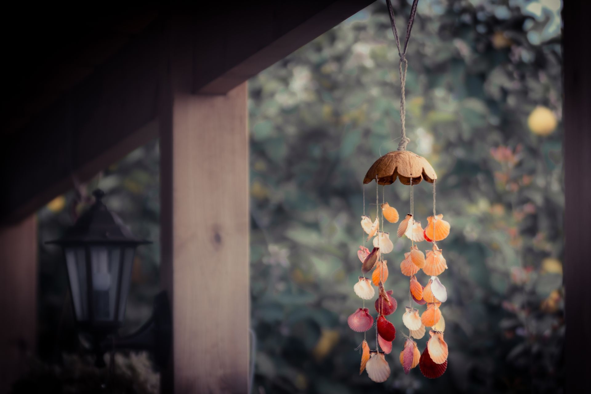 Bilder InTEM - Naturheilpraxis