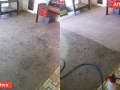 Images Stainbusters carpet cleaning and Pest Control Central West