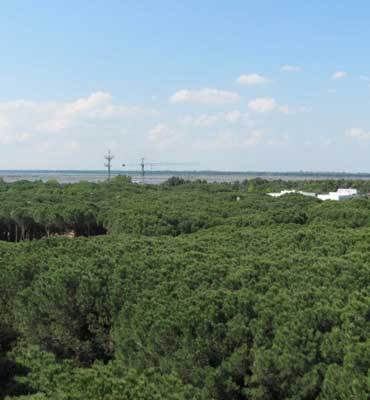 Images Agenzia Immobiliare Ravenna Servizi