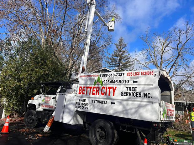 Images Better City Tree Services, Inc.