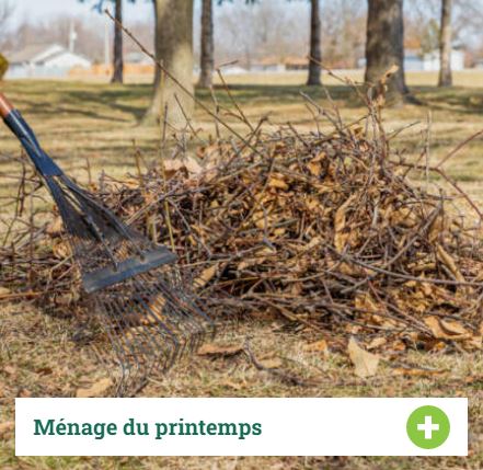 Images Gazon Plus - Tonte et Entretien Paysager