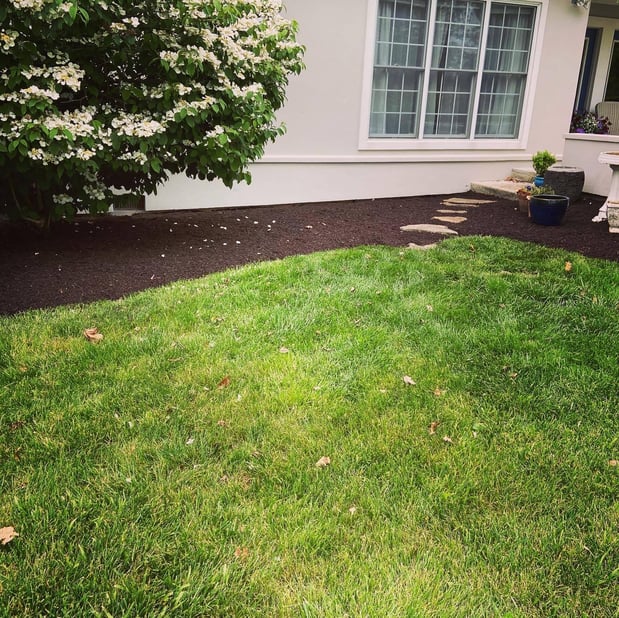 Images Barr Landscaping