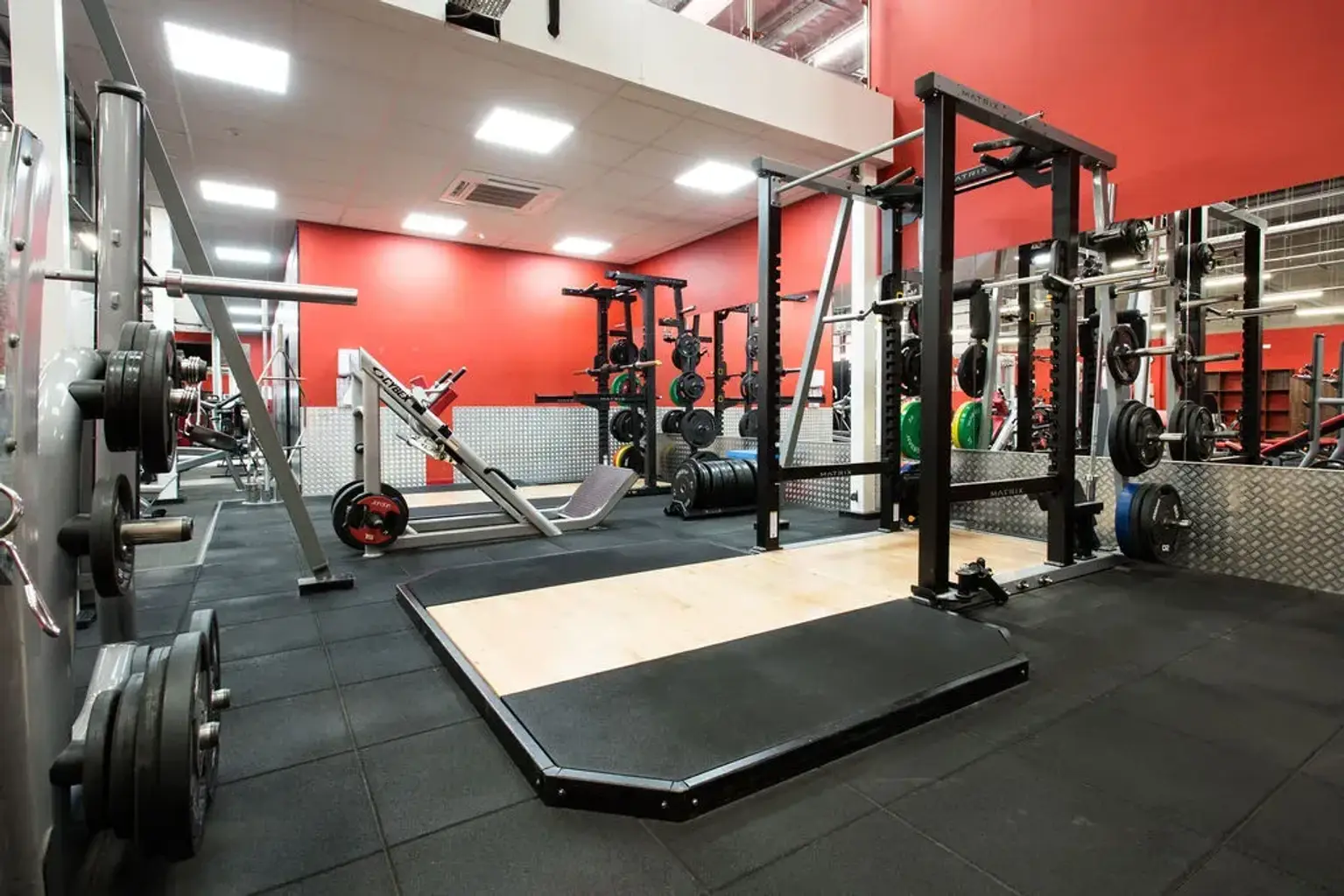 Squat Rack