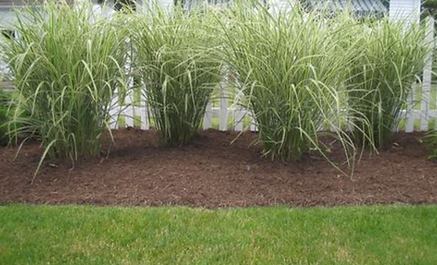 Images Pascack Valley Landscaping