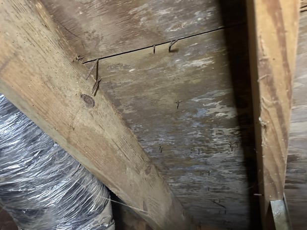 Images Ox Foundation Solutions