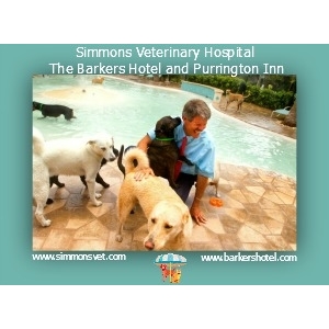 Simmons Vet Hospital