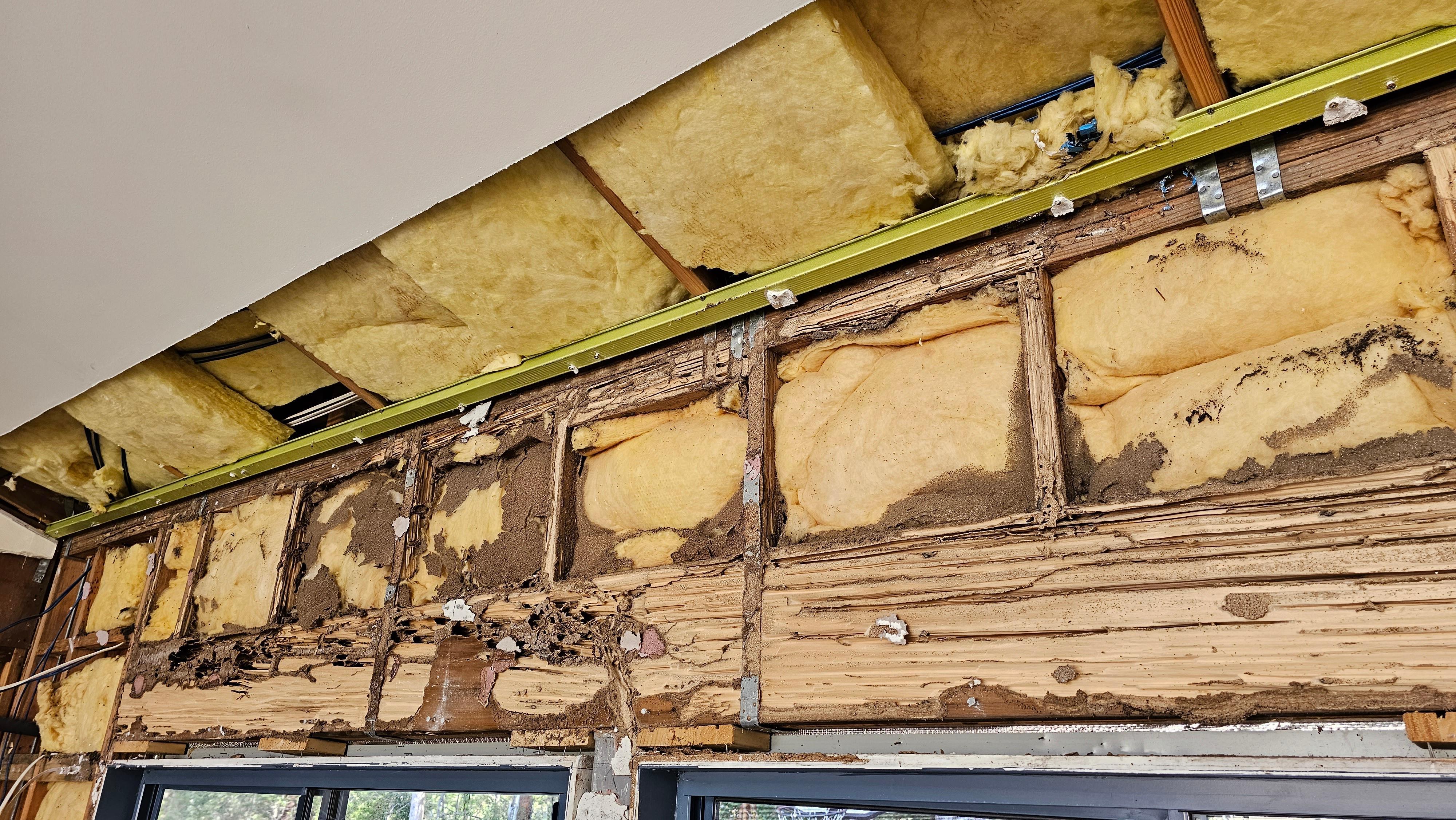 Images GC Pest Control Gold Coast