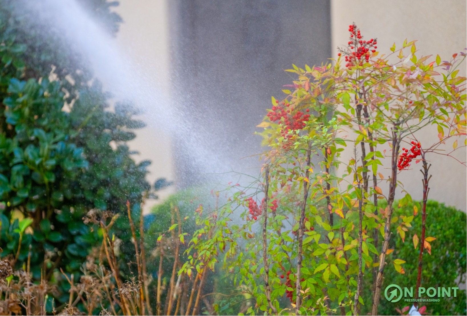 House washing service