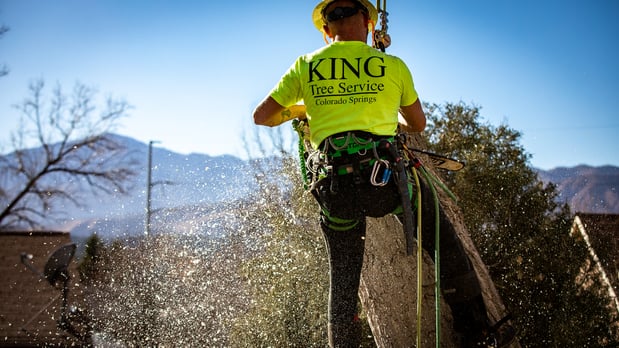 Images King Tree Service