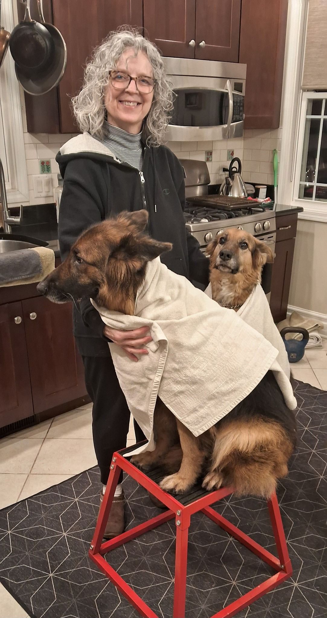 A woman smiles in her kitchen while holding two dogs wrapped in towels, sitting on a red stool after a bath, creating a warm, caring pet grooming moment indoors.