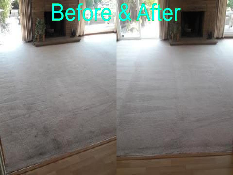 Able Body Carpet & Restoration Photo