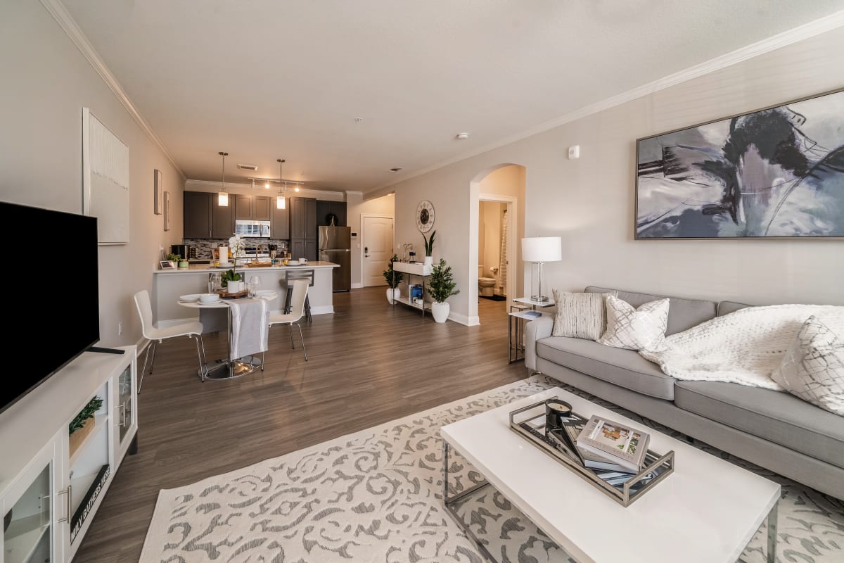 Open Space Living Room and Kitchen