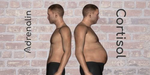 Annette Lartey Heilpraktikerin, Kaiser-Friedrich-Str. 6 in Wiesbaden