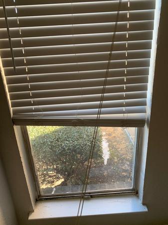 Images Tidy Upped Cleaning Services