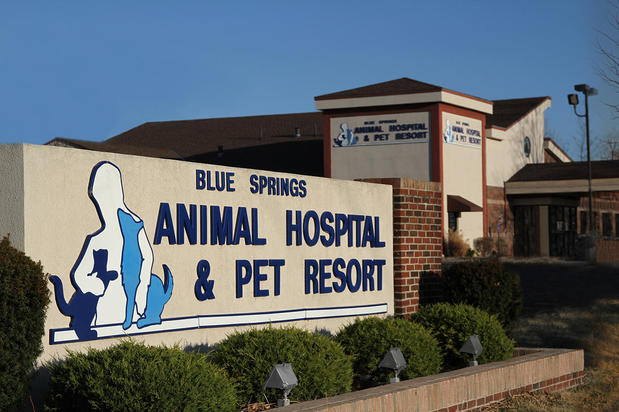 Images Blue Springs Animal Hospital & Pet Resort