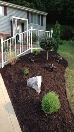 Images JD Landscaping and Grass Cutting
