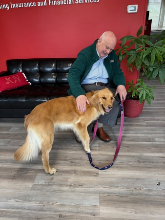 Images Kaitlyn Raymond - State Farm Insurance Agent