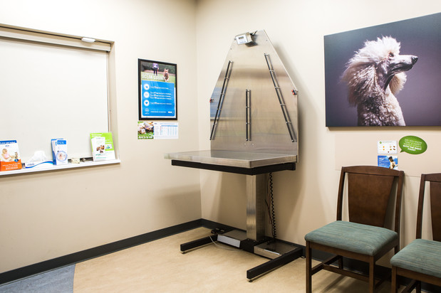 Images Bayview Animal Hospital