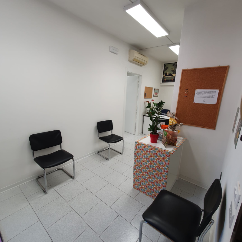 Images Ambulatorio Veterinario Arte Medica - d.ssa Conti Federica
