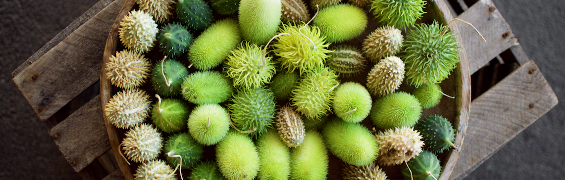 Silvias Floristik, Hauptstraße 19a in Walding