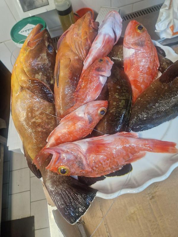 Images La baia del clipper