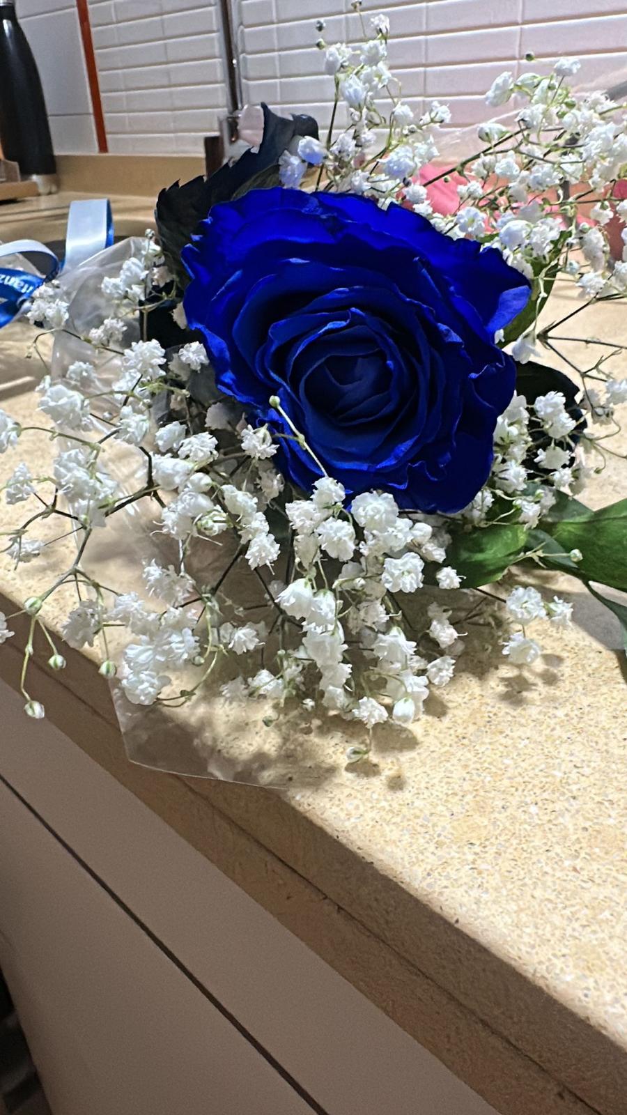 Images Agente de Seguros Allianz - Dulce Rubio Seguros & Inversiones