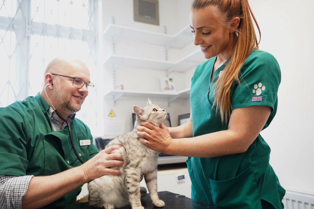 Images Streatham Hill Veterinary Surgery