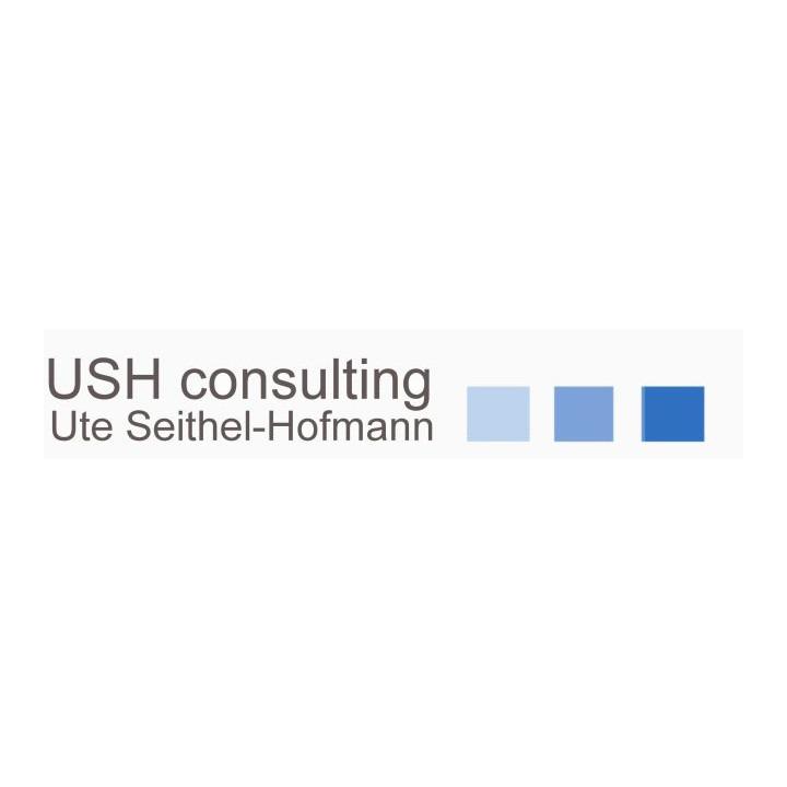 Kundenlogo USH consulting Unternehmensberatung