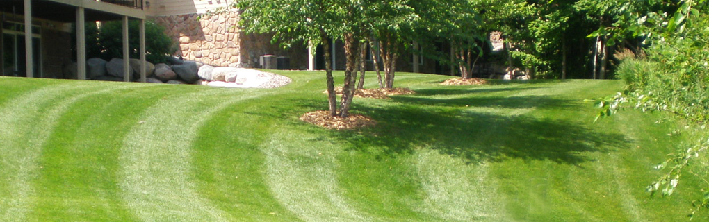 King Lawn Care Maintenance In Augusta Ga 30907 For Maps And Directions To King Lawn Care Maintenance View The Map Right Reviews Of See Below