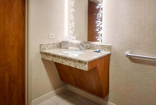 Images Hilton St. Petersburg Carillon Park