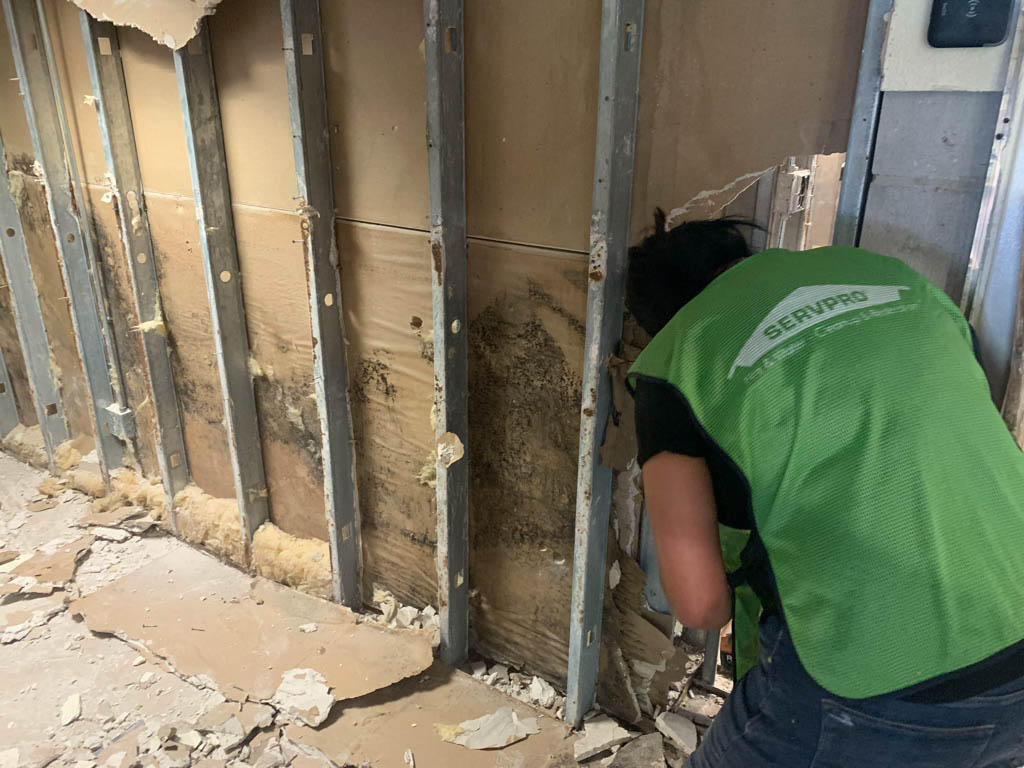 Mold can grow quickly. SERVPRO of  Jacksonville Westside/ Orange Park can immediately respond to your mold damage in Orange Park, FL by cleaning properly the effected area. The technicians are trained with the professional equipment for your mold remediation emergency. We are open 365 days a year!