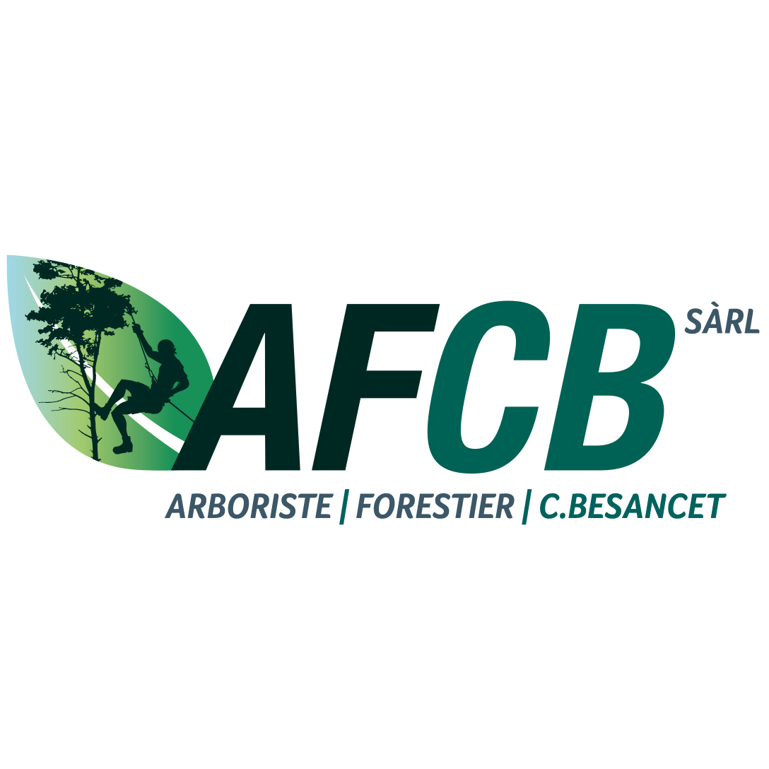 AFCB Sàrl Logo