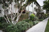 Exterior sidewalk with bushes and view of white building exterior.