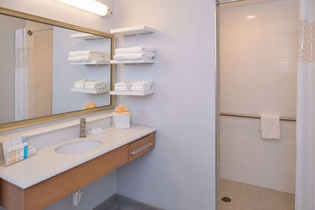 Images Hampton Inn & Suites Denver-Speer Boulevard