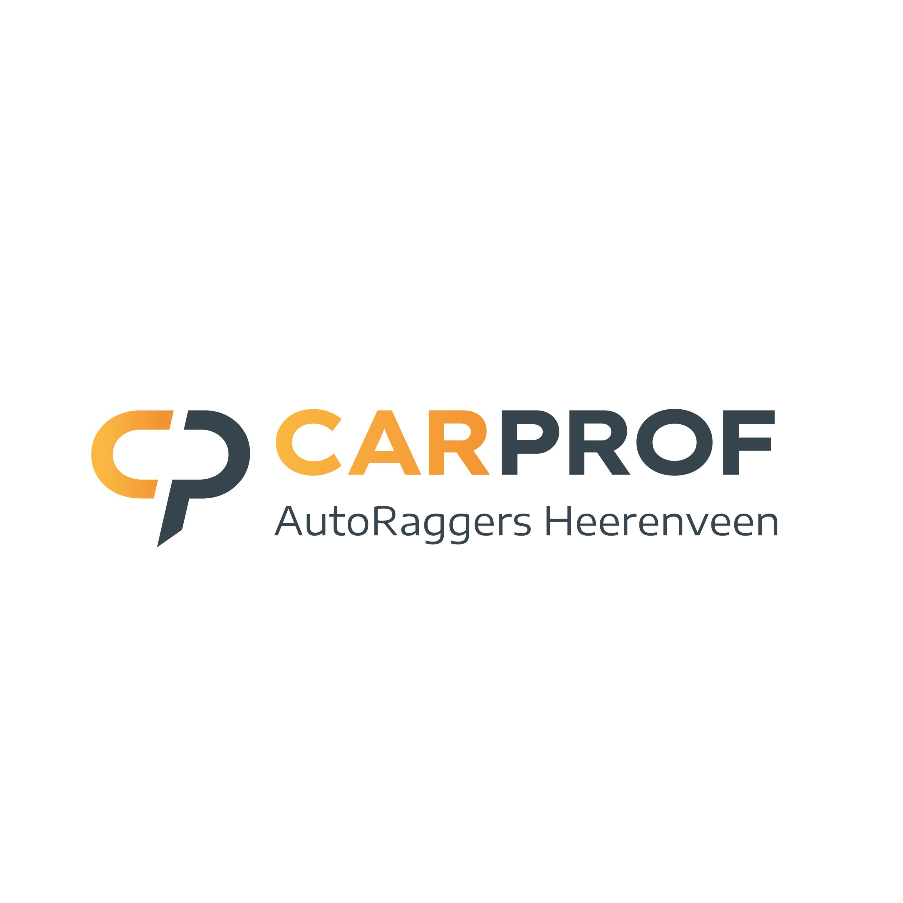 AutoRaggers Heerenveen | CarProf | Mitsubishi Dealer | NexDrive Center Logo