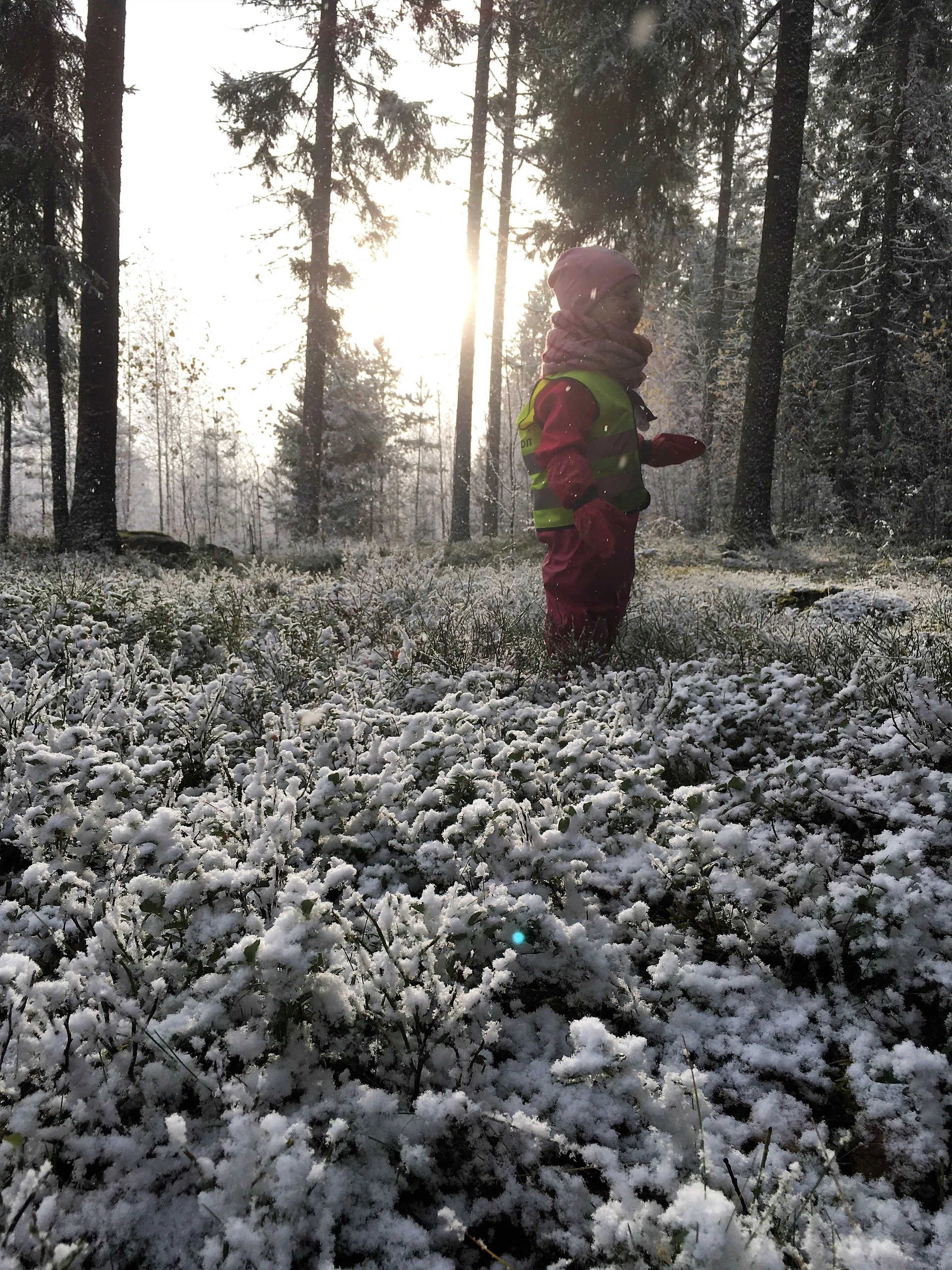 Images Käpälämäen Päiväkodit keskusta