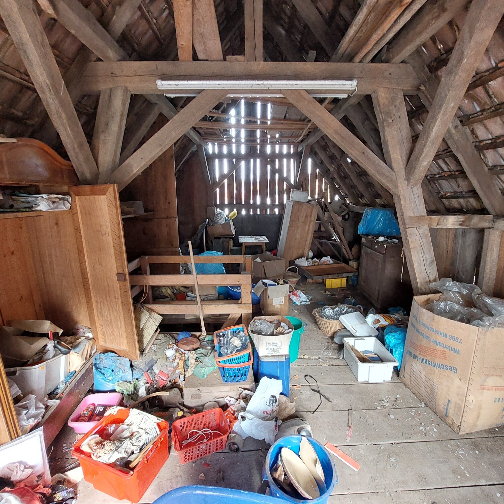 Gebäudeservice Müller, Friedrichstraße 62 in Lahr/Schwarzwald