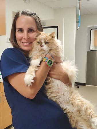 Images VCA Laguna Niguel Animal Hospital
