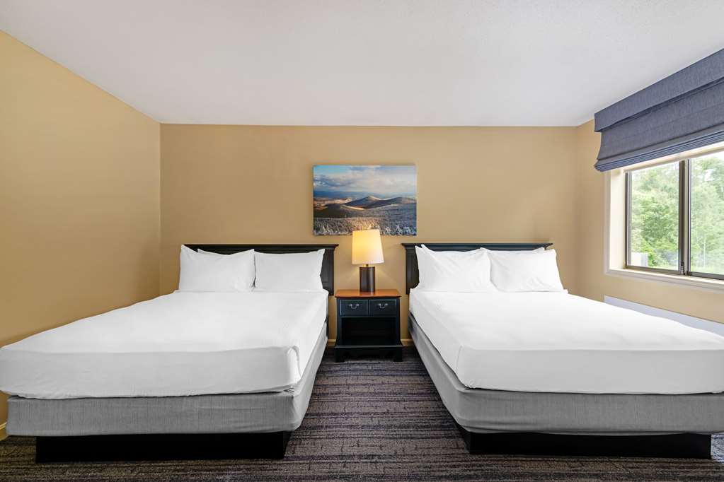 2 Queen Suite