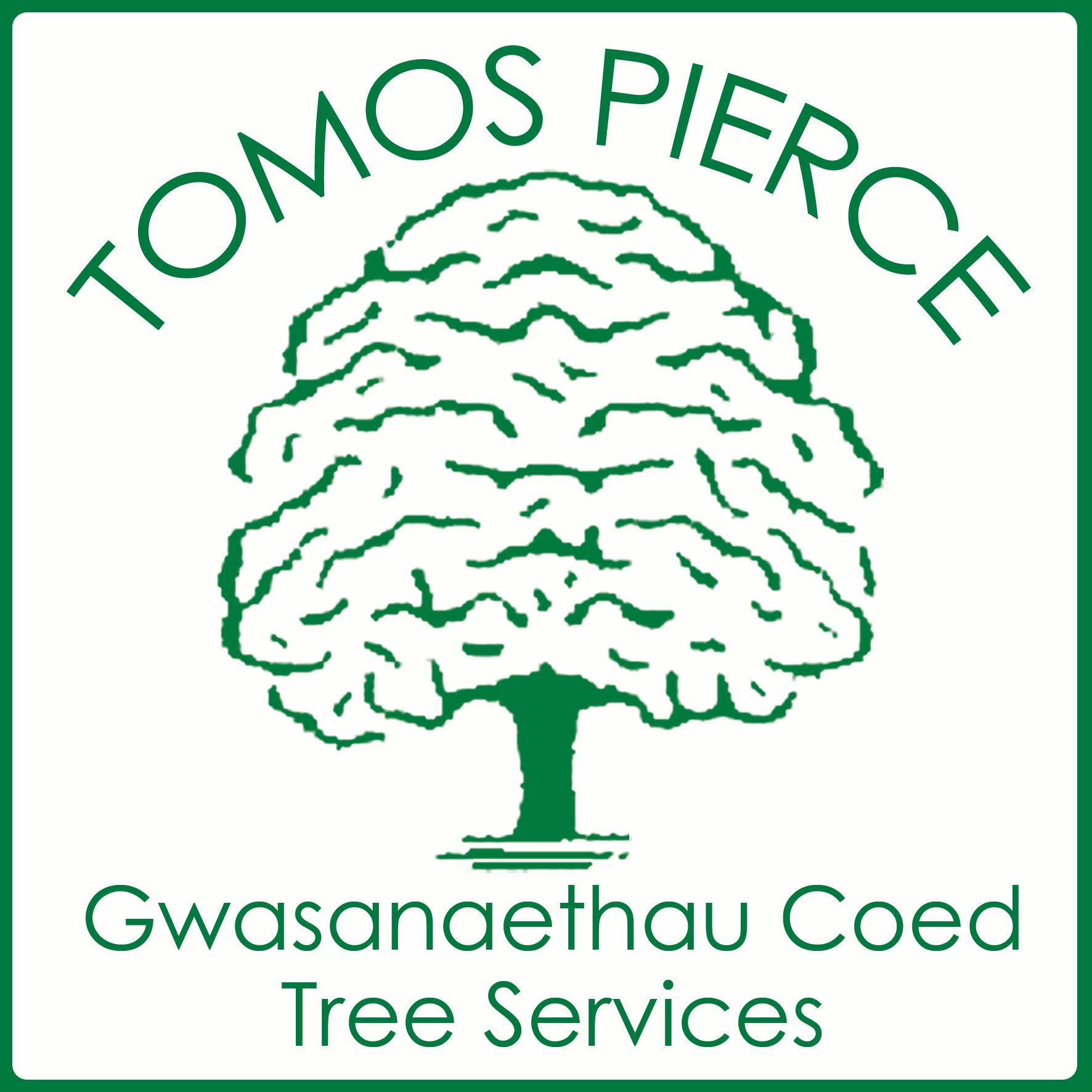 LOGO Gwasanaethau Coed Tomos Pierce Tree Services Bangor 07884 413963