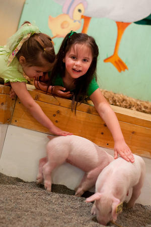 Images Purina Farms