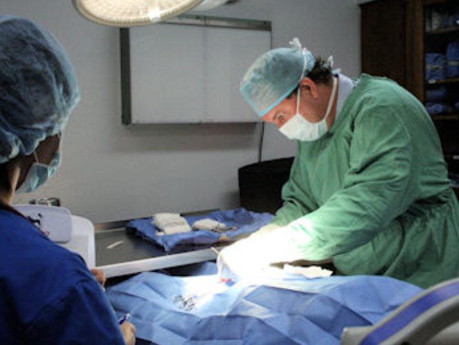 Images Chaparral Veterinary Center, P.C.