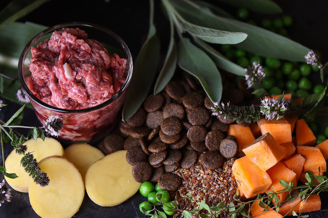 Bilder Green Pet Shop