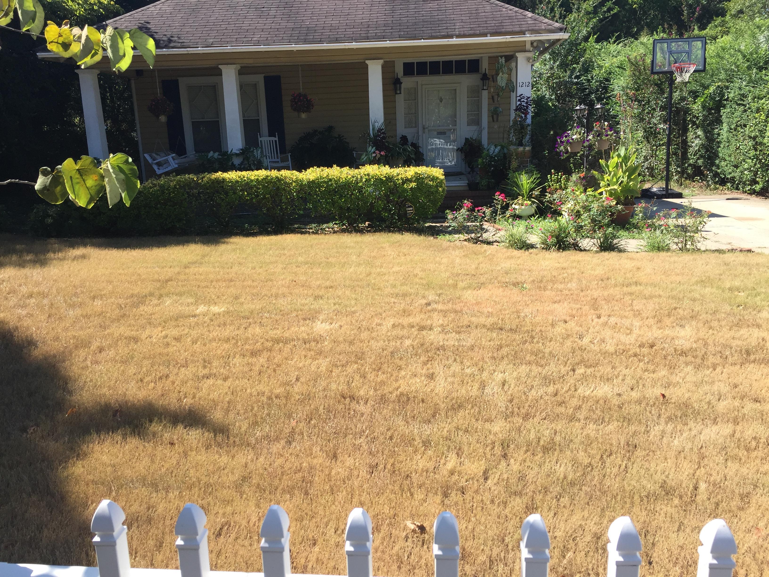 Lawn Doctor