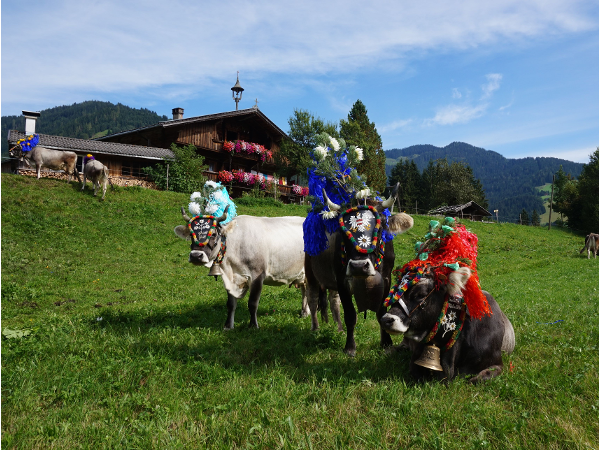 Bild 13 von Schatzberg-Haus Auffach