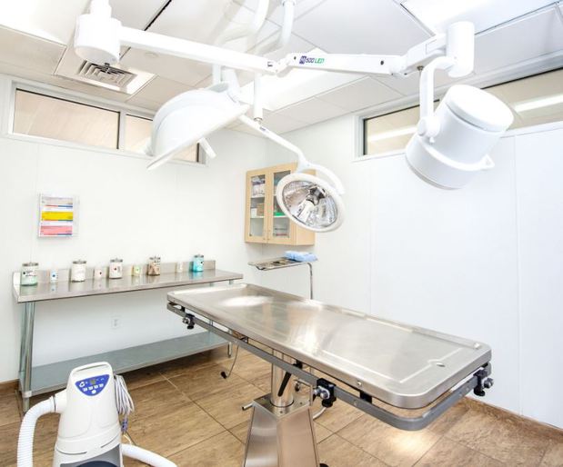 Images VCA Becker Animal Hospital and Pet Resort