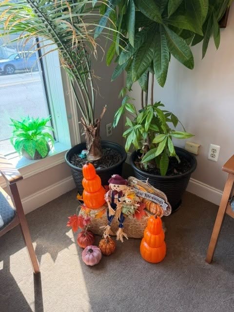 Happy Fall