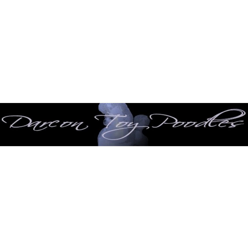 Darcon Toy Poodles