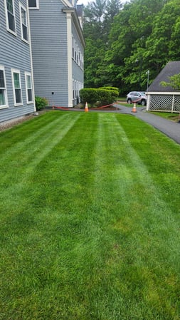 Images Ultra Landscaping LLC
